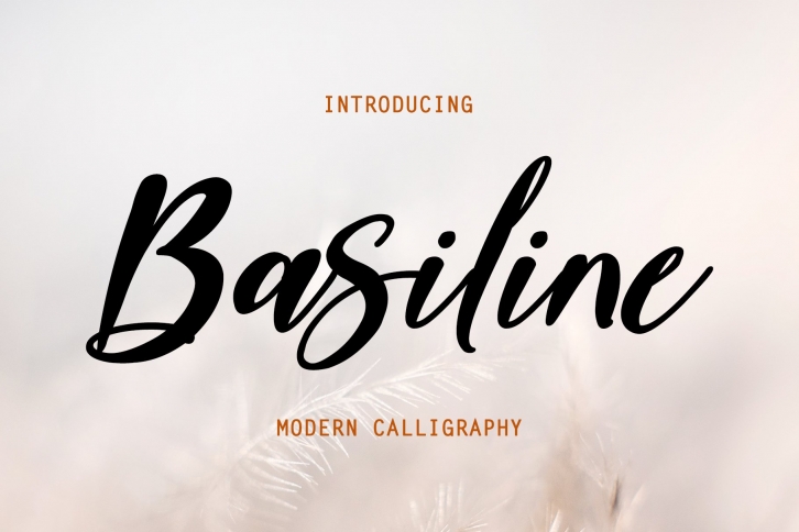 Basiline Font Download
