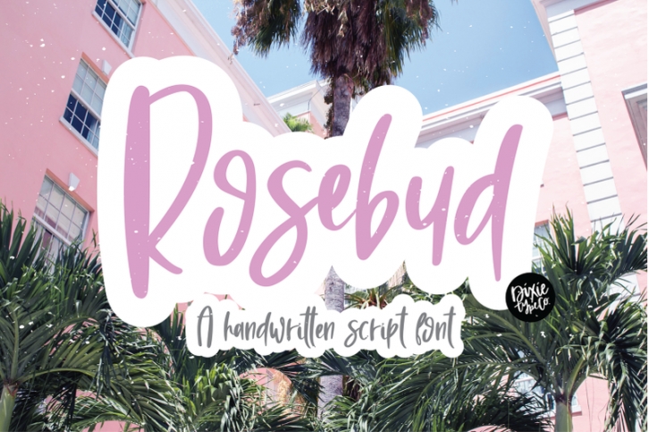 ROSEBUD a Stylish Brush Script Font Font Download