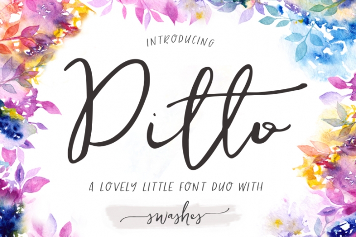 Ditto Swashes Calligraphy Font Font Download