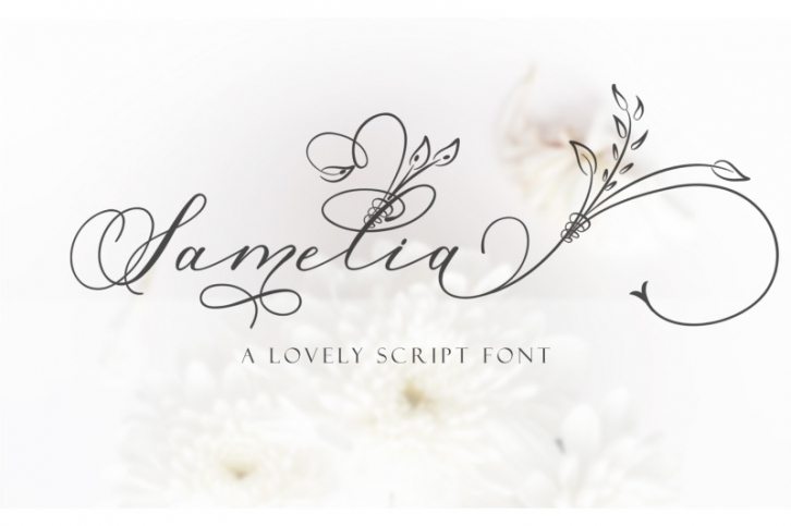 Samelia lovely script font Font Download