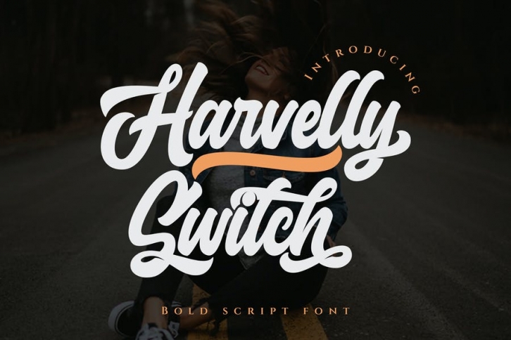 Haverlly Switch - Bold Script Font Font Download