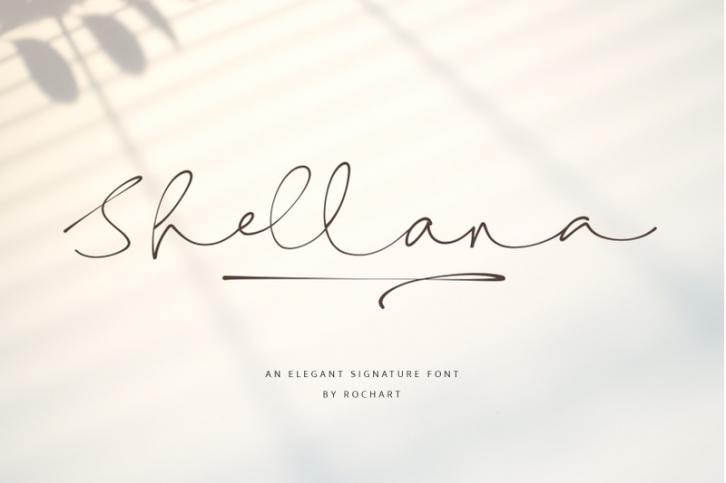 Shellana || Elegant Signature Font Font Download