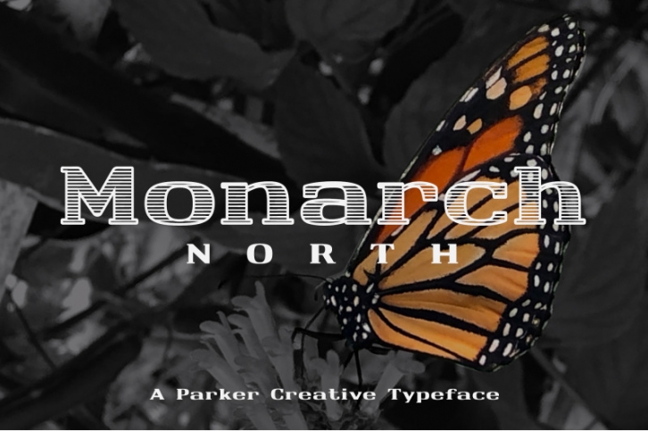 Monarch North Line Hatch Font Font Download