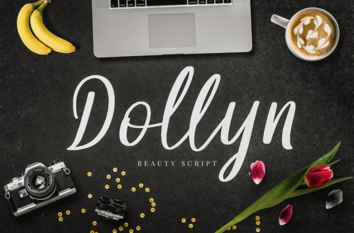 Dollyn Script - Casual Playful Font Font Download