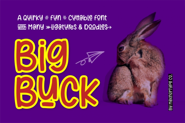 BigBuck - a Quirky Fun Cuttable Font with Many Ligatures and Doodles Font Download