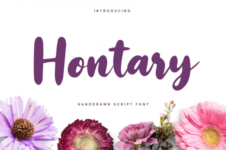 Hontary - Handdrawn Script Font Font Download