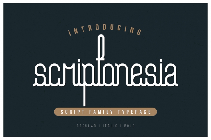 Scriptonesia Font Family Font Download