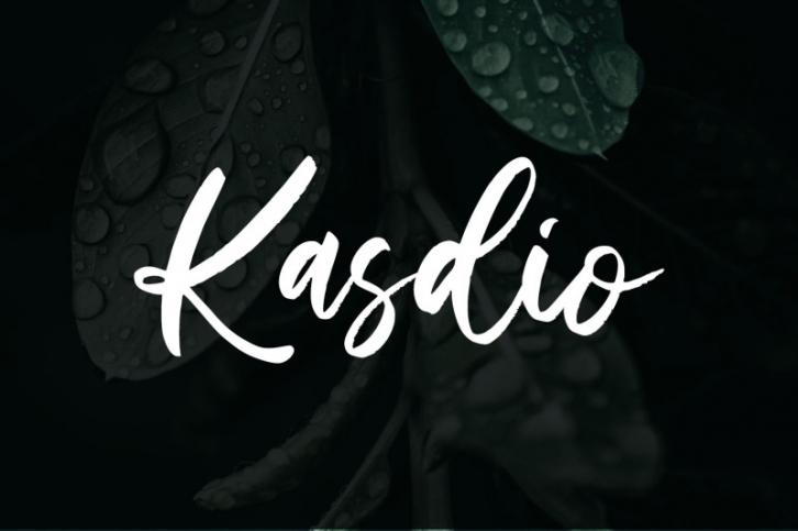 Kasdio Brush Font Font Download