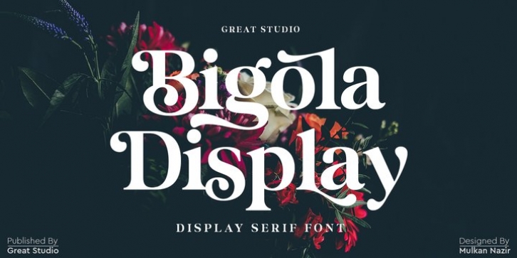 Bigola Display Font Download