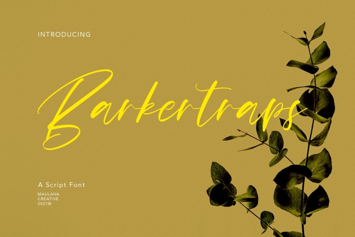 Barkertraps Script Font Download