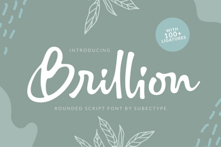 Brillion / handwritten script font Font Download