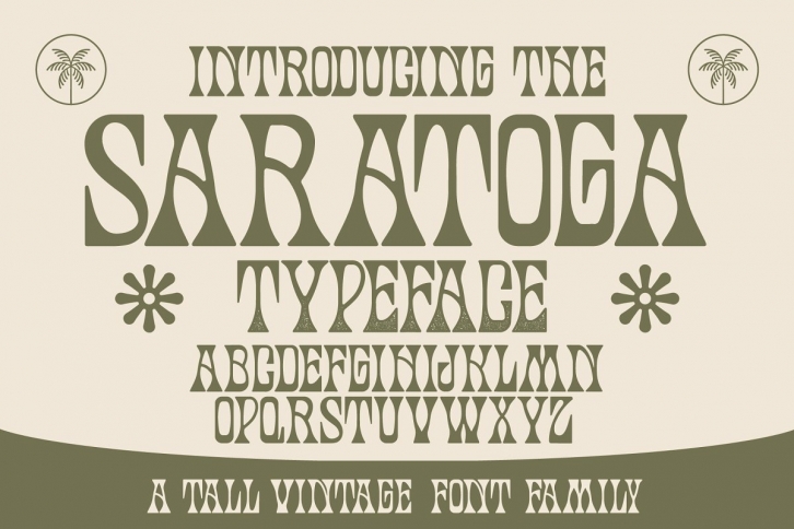 35% off-Saratoga Typeface Font Download
