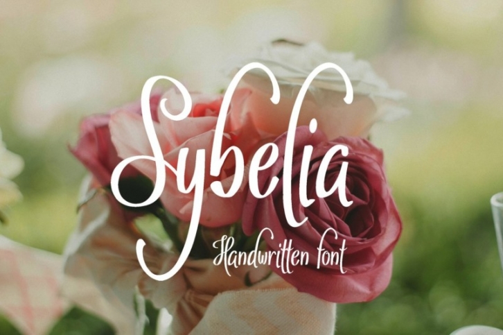 Sybelia Font Download