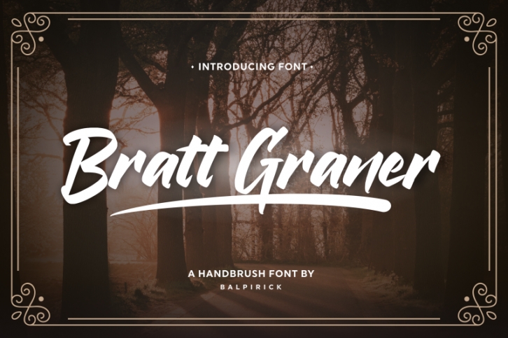 Bratt Graner Handbrush Font Font Download