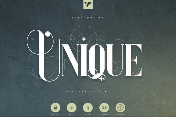 Unique - Decorative Serif Font Font Download