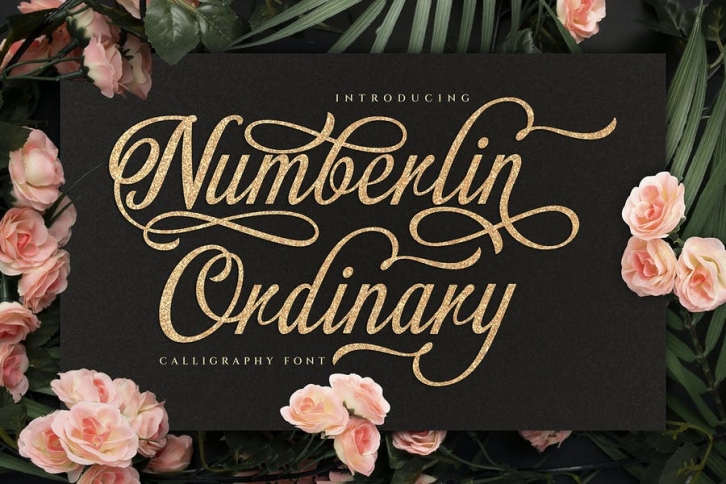 Numberline Ordinary - Script Font Font Download