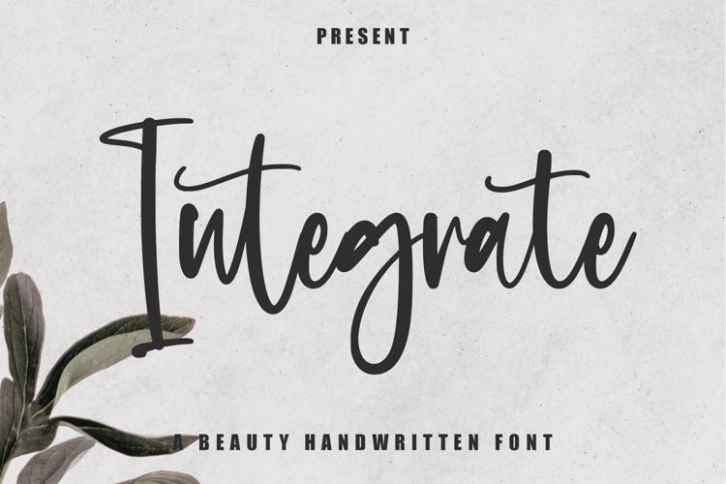The Last Midnight Font Download