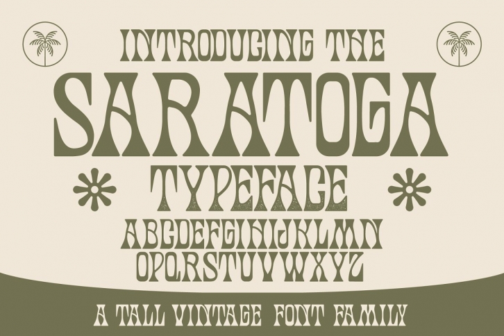 Saratoga Typeface Font Download