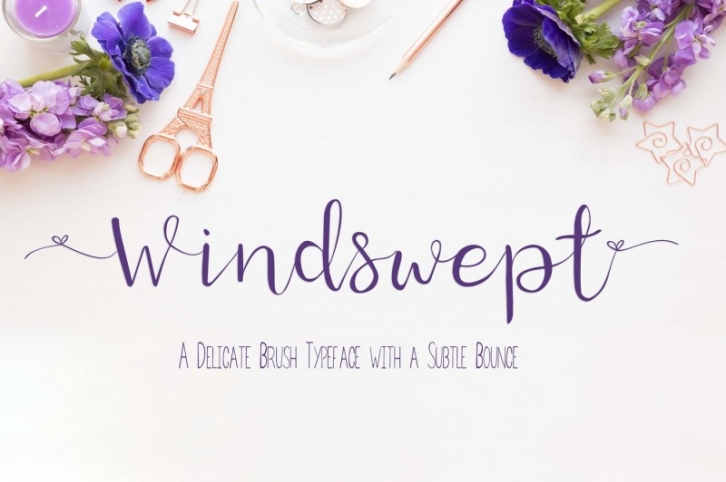 Windswept, A delicate Brush Script Font Font Download