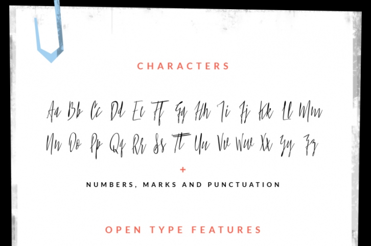 Spiff - Hand Script Font Font Download