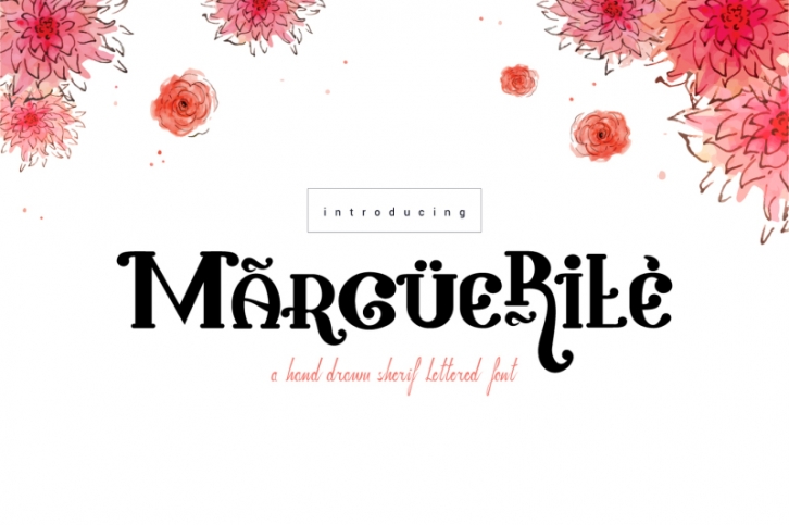 Marguerite Font Download