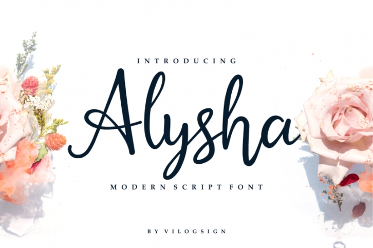 Alysha // Modern Script Font Font Download
