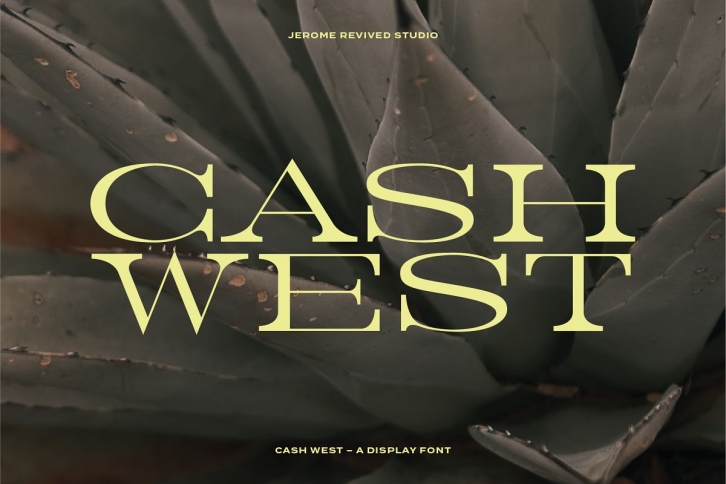 Cash West Display Font Download