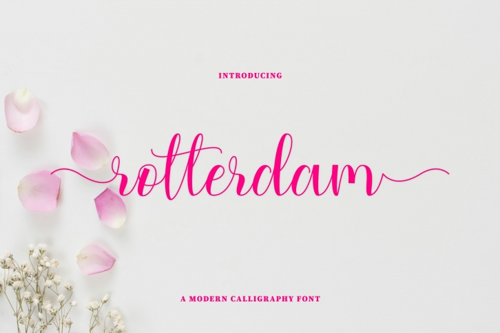 Rotterdam Font Download