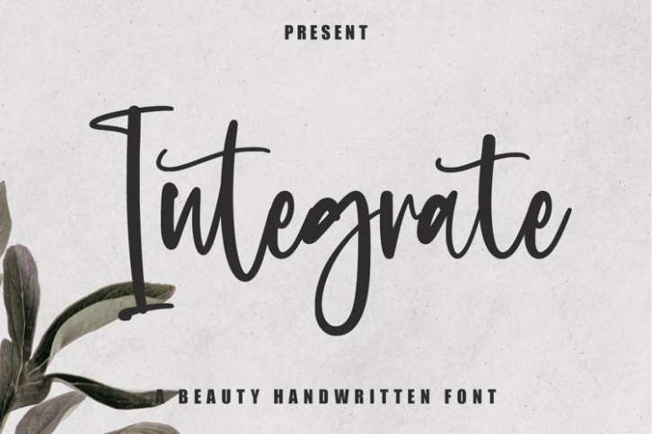 Web Integrate Font Download