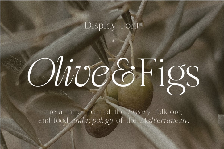 Olive  Figs Font Download