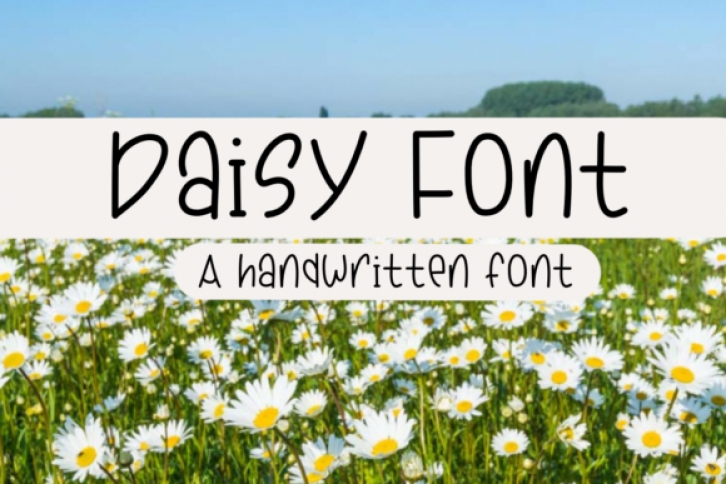 Daisy Font Download