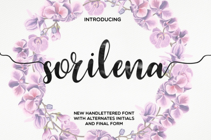 Sorilena Script Font Download