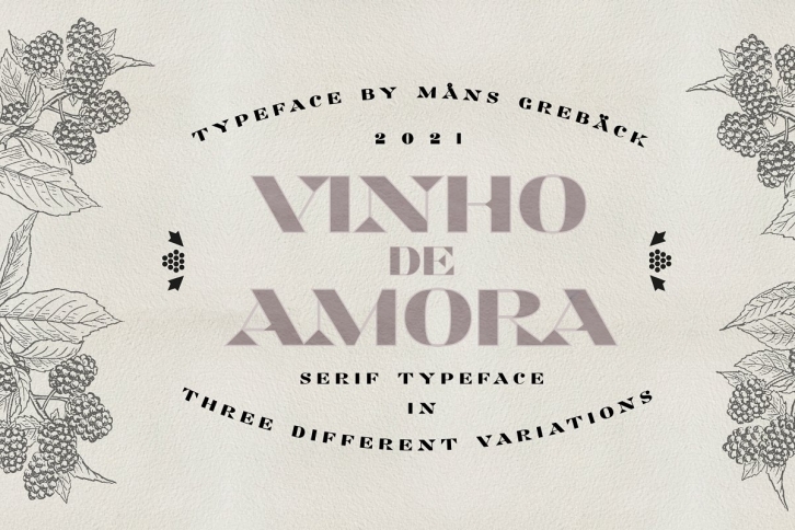 Vinho de Amora — Minimalist Serif Font Download