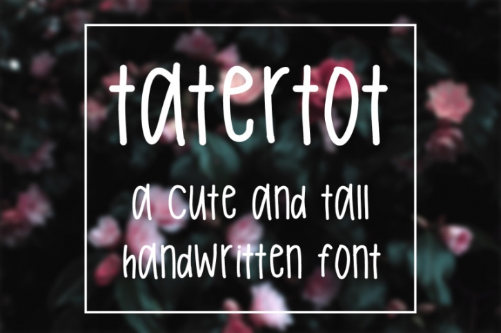 Tatertot Handwritten Font Font Download