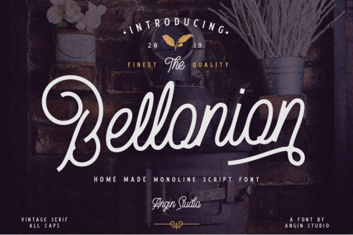 Bellonion Monoline Script Font Download
