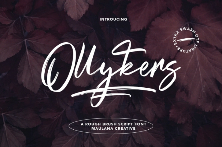 Ollykers Brush Script Font Font Download