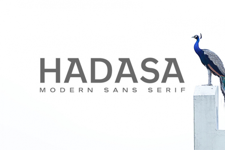 Hadasa Sans Serif Font Family Font Download