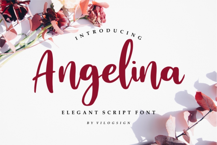 Angelina // Playful Script Font Font Download