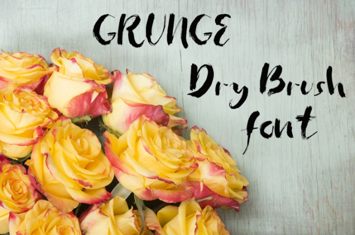 Grunge dry brush font Font Download