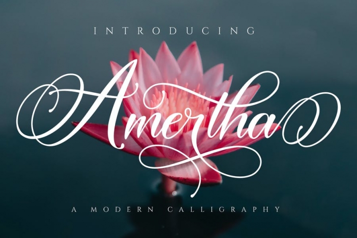 Amertha_a modern calligraphy font Font Download