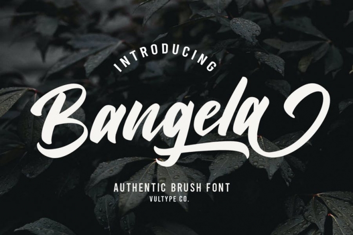 Bangela Bold Brush Font Font Download