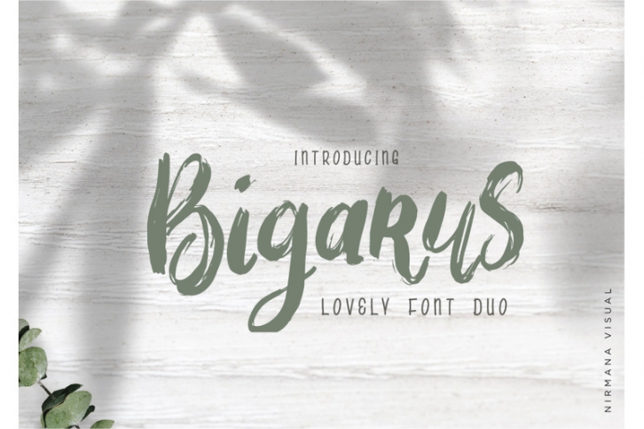 Bigarus - Font Duo Font Download