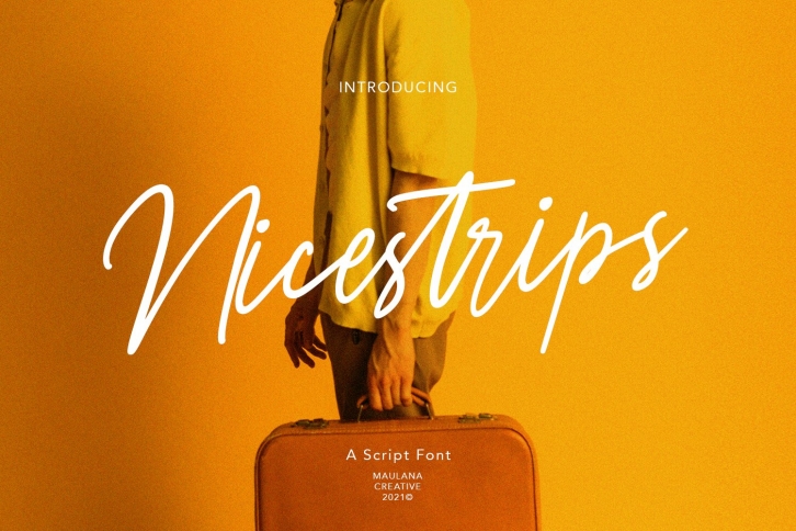 Nicestrips Fancy Script Font Download