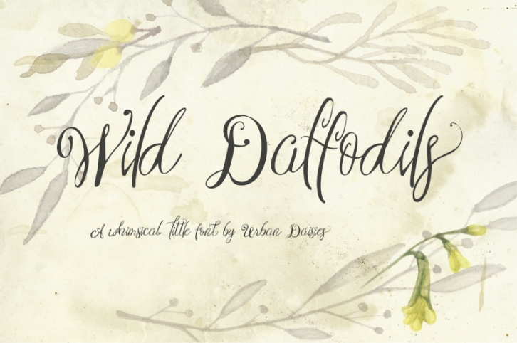 Wild Daffodils Font Download