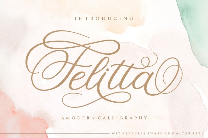 Felitta Calligraphy Font Font Download