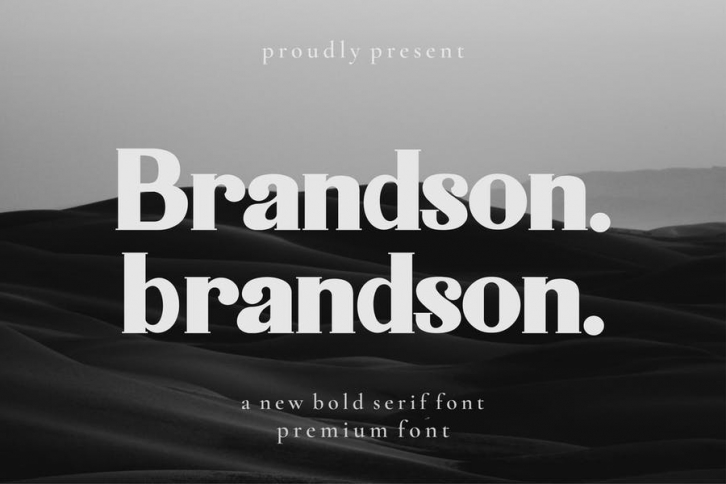 Brandson Serif Font Font Download