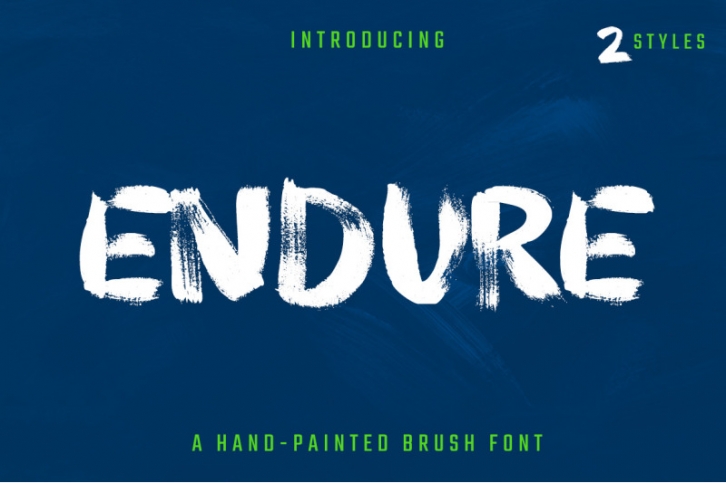 Endure | Hand Painted Brush Font Font Download