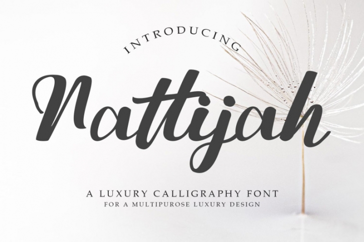 Nattijah Luxury Calligraphy Font Font Download