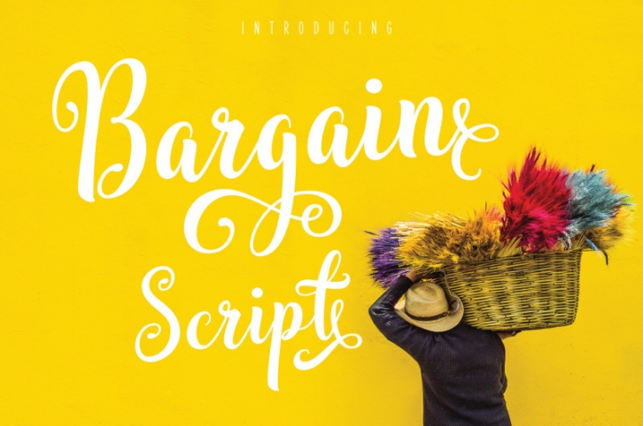 Bargain Script Font Download