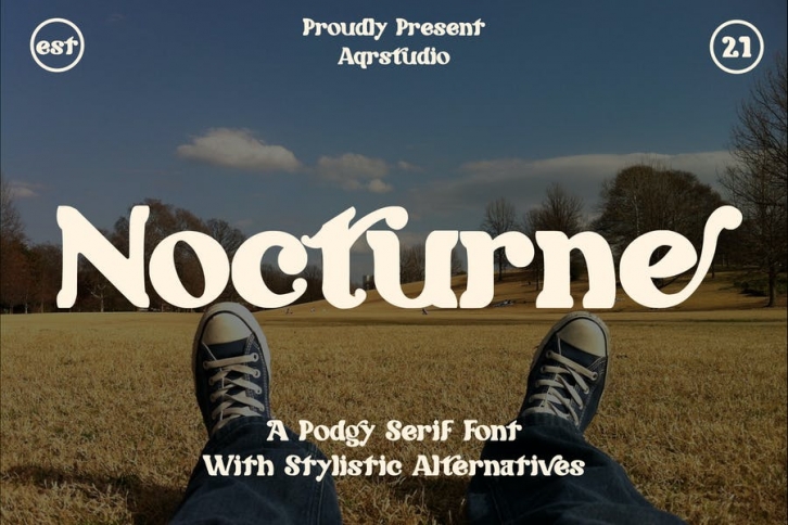 Nocturne - Podgy Serif Font Font Download
